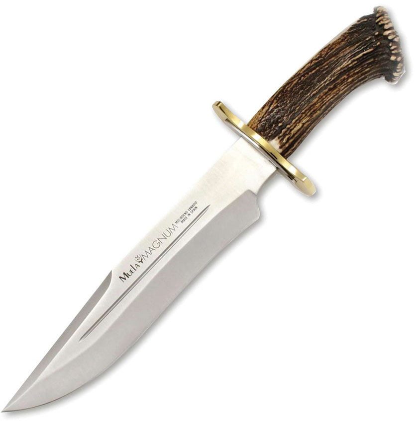 Muela Magnum Bowie 26 – Crown Stag Handle – 10.25" Blade – MU036
